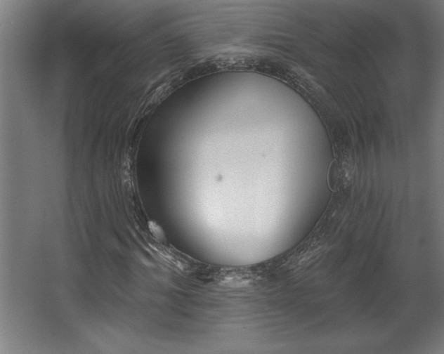 X0000068720964200605010929