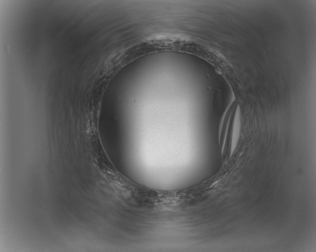 X0000068720965200605010929