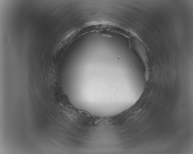 X0000068720967200605010929