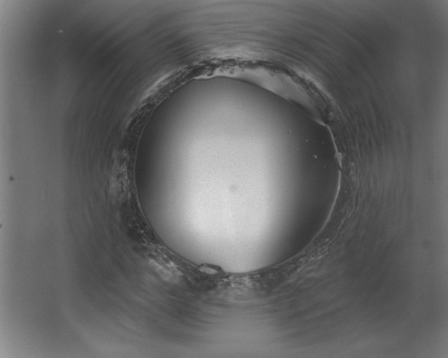 X0000068720968200605010929