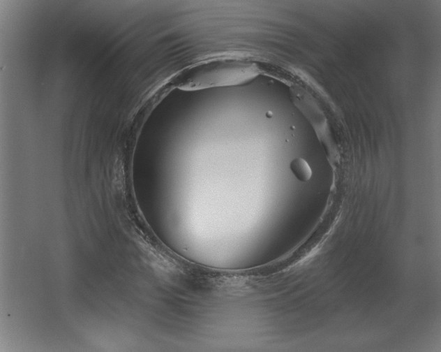 X0000068720969200605010929