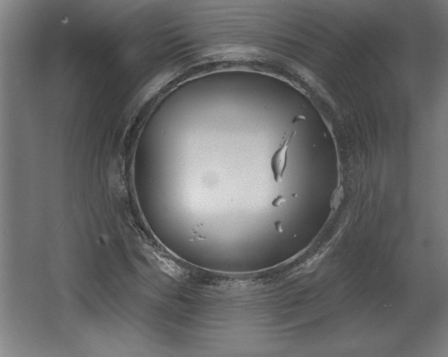 X0000068720970200605010929