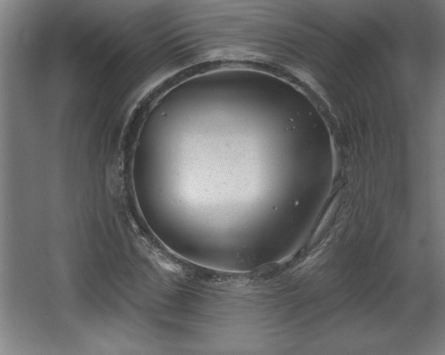 X0000068720971200605010929