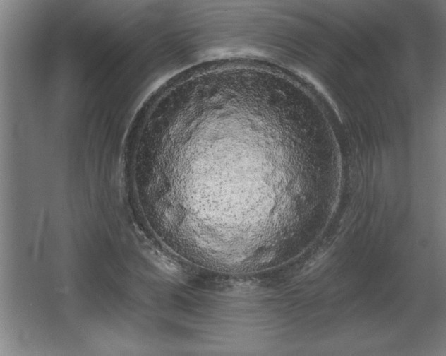 X0000068720975200605010929