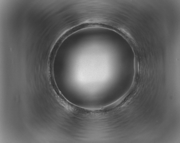 X0000068720976200605010929