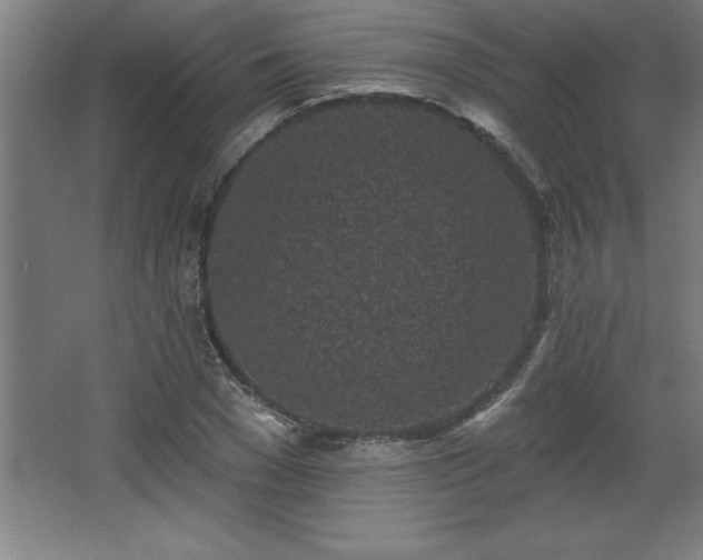 X0000068720977200605010929