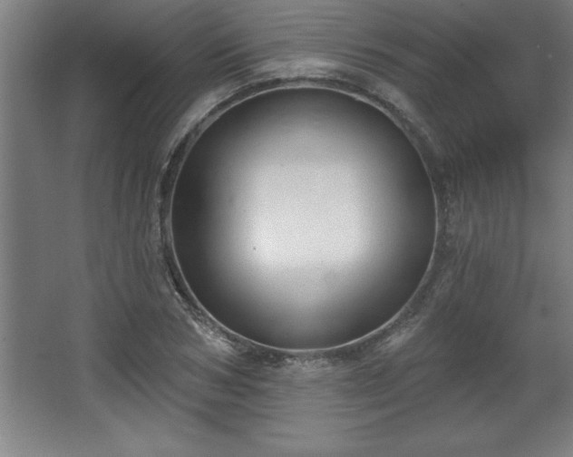 X0000068720978200605010929