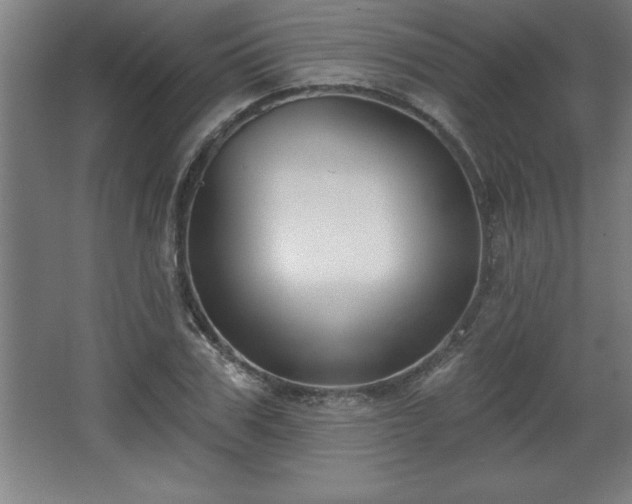 X0000068720979200605010929