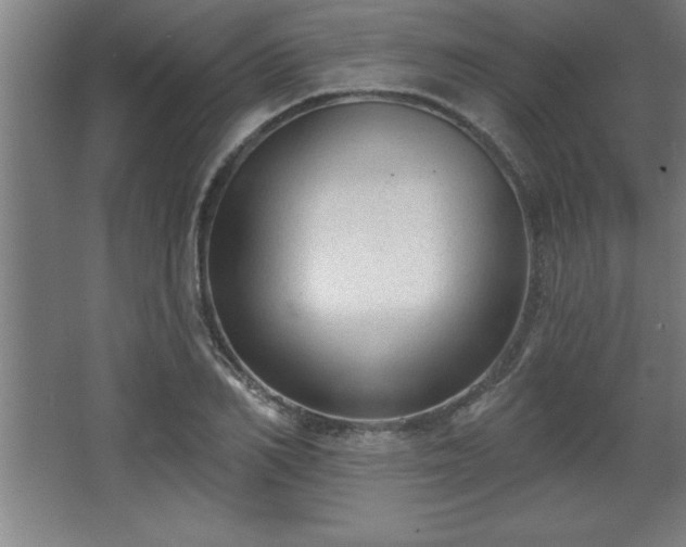 X0000068720982200605010929