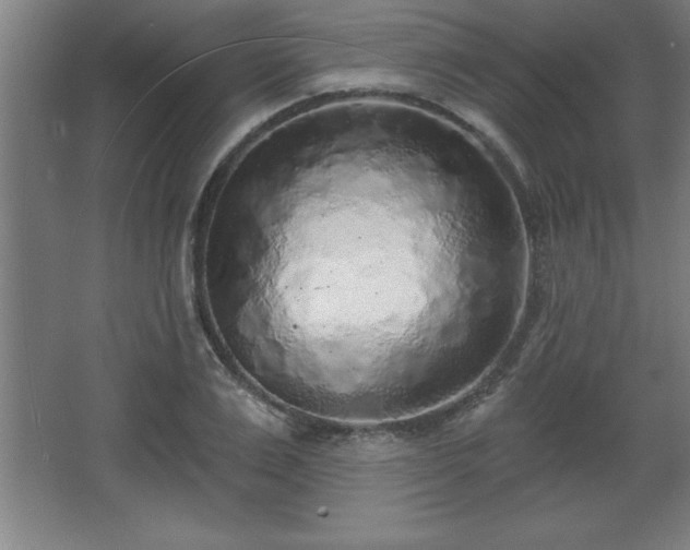 X0000068720983200605010929