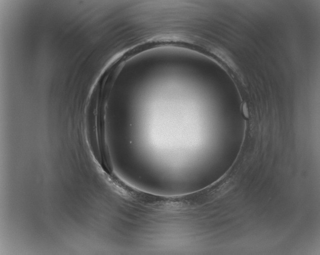 X0000068720984200605010929