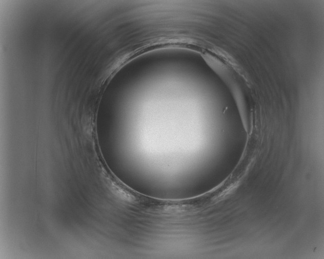 X0000068720985200605010929