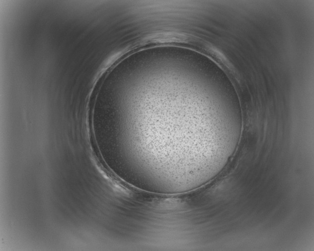 X0000068720986200605010929