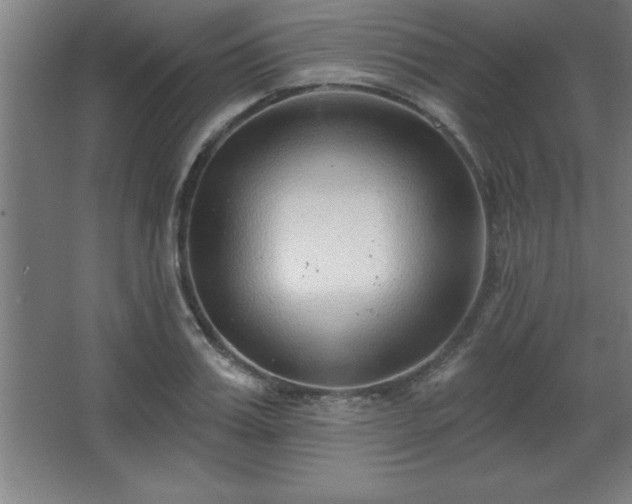 X0000068720987200605010929