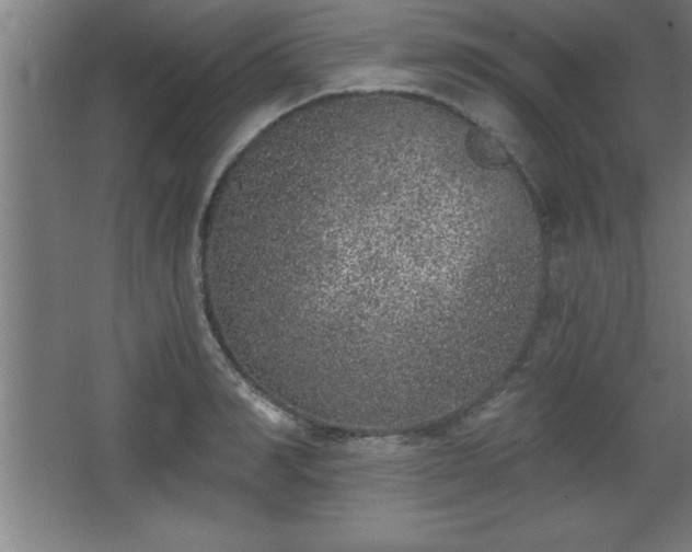 X0000068720990200605010929