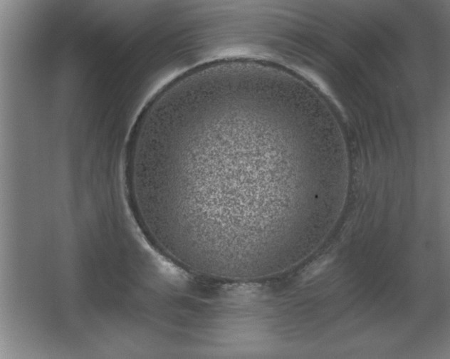 X0000068720991200605010929