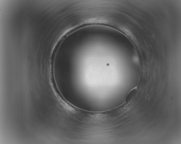 X0000068720992200605010929