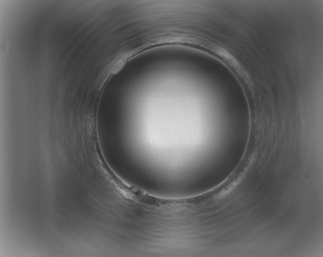 X0000068720993200605010929