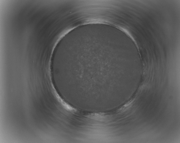 X0000068720995200605010929