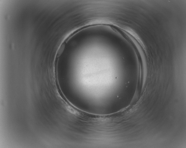 X0000068720996200605010929