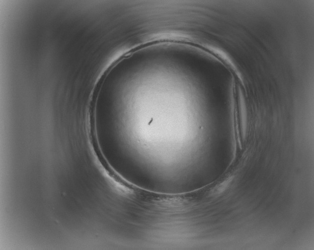 X0000068720999200605010929