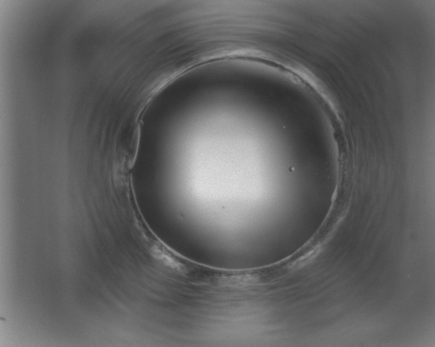 X0000068721001200605010929