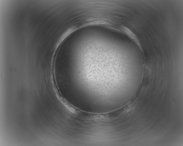 X0000068721002200605010928