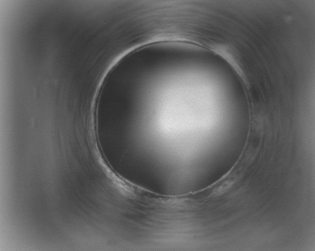 X0000068721004200605010928