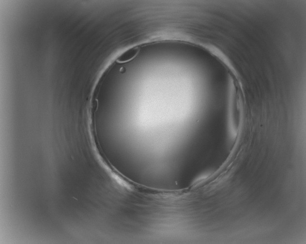 X0000068721005200605010928