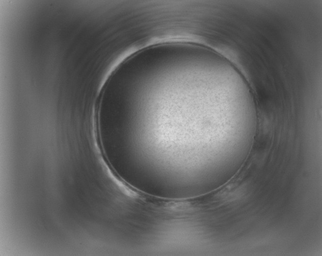 X0000068721006200605010928