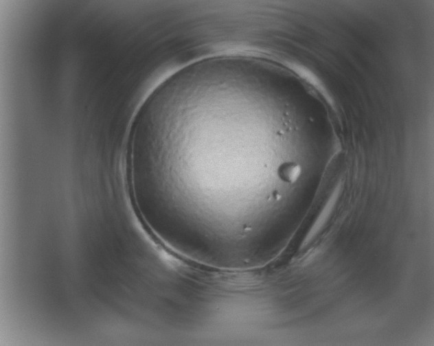 X0000068721007200605010928