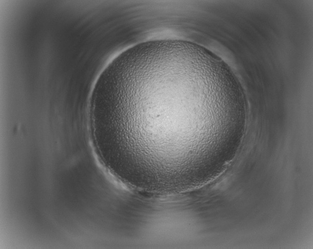 X0000068721008200605010928