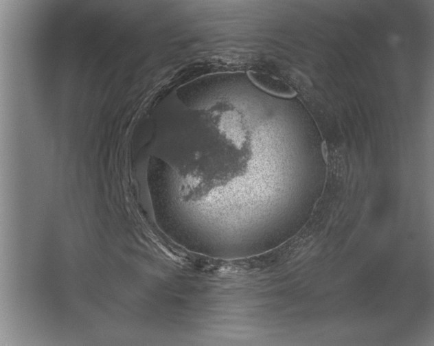 X0000068721009200605010928