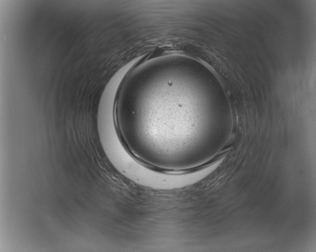 X0000068721010200605010928