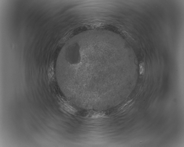 X0000068721011200605010928