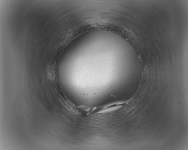 X0000068721012200605010928