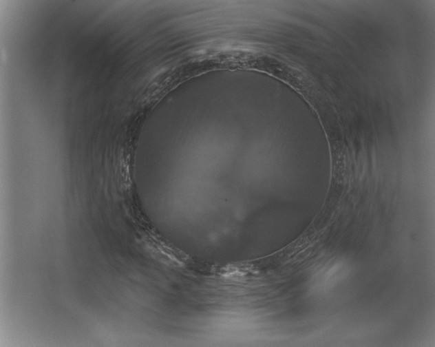 X0000068721013200605010928