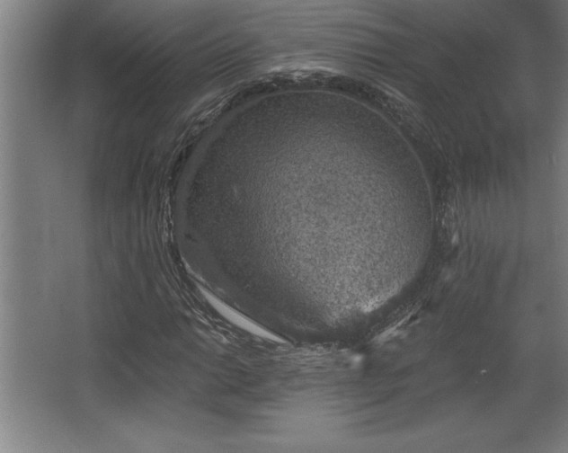 X0000068721014200605010928