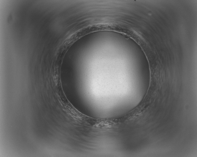 X0000068721015200605010928