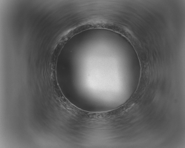 X0000068721016200605010928