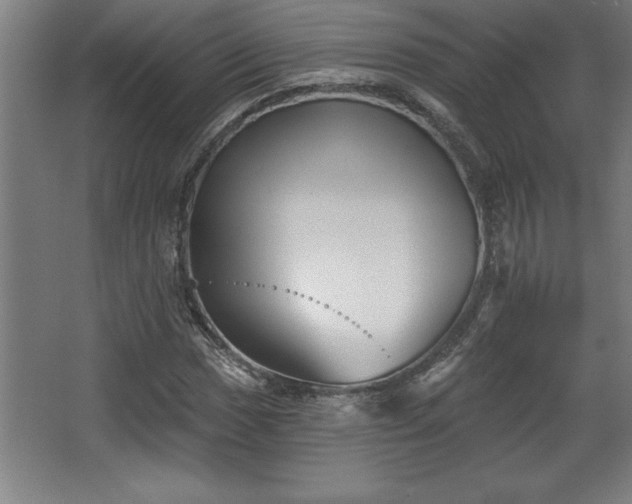 X0000068721017200605010928