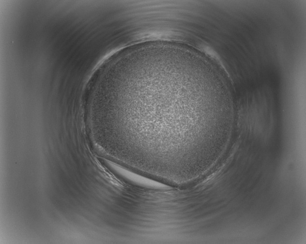 X0000068721019200605010928