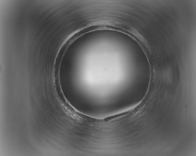 X0000068721020200605010928