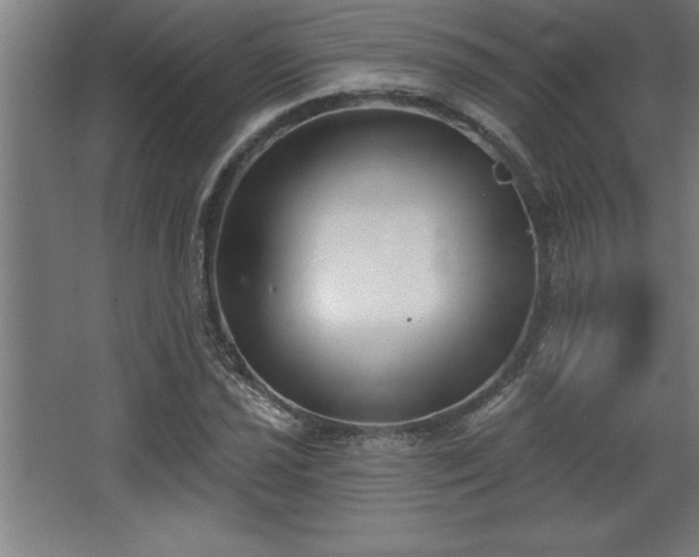 X0000068721021200605010928