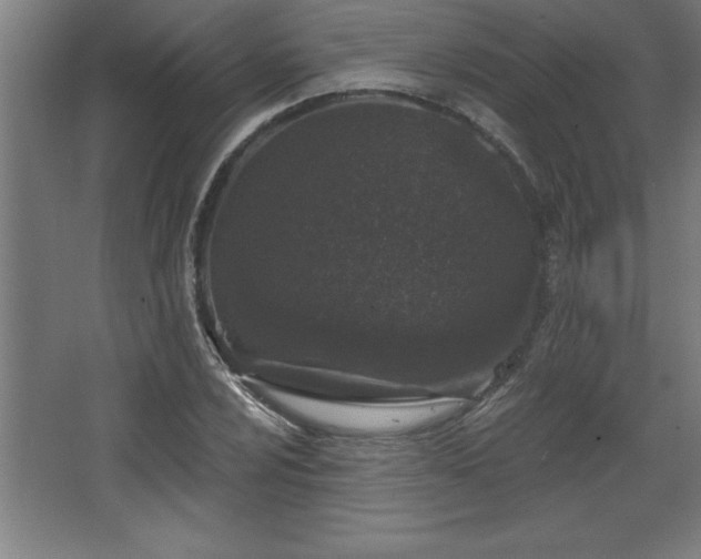 X0000068721024200605010928