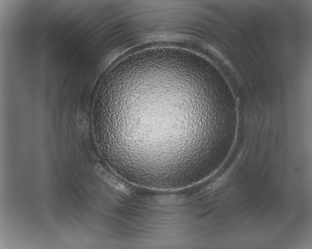 X0000068721025200605010928