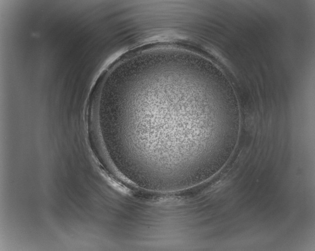 X0000068721026200605010928