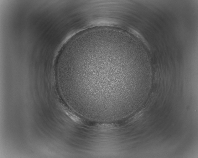 X0000068721027200605010928