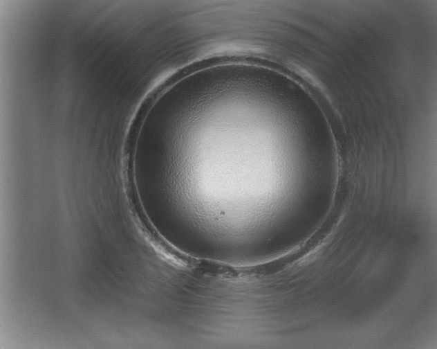 X0000068721029200605010928