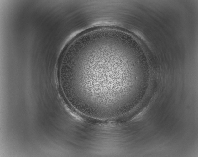 X0000068721030200605010928